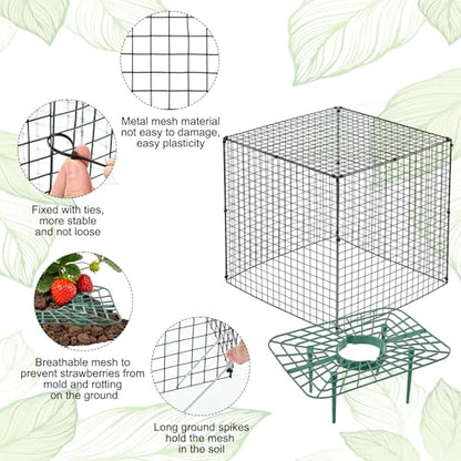6 Set Upgraded Strawberry Protection Supports with Wire Plant Protectors from Animal Sturdy Metal Wire Plant Cages Mesh Plant Cover Strawberry Growing Racks Planting Stand for Garden,12 Inch Square