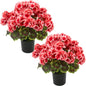 lovemoon 2 Pcs Geranium Potted Artificial Flowers, Peach, 19" - color: Peach