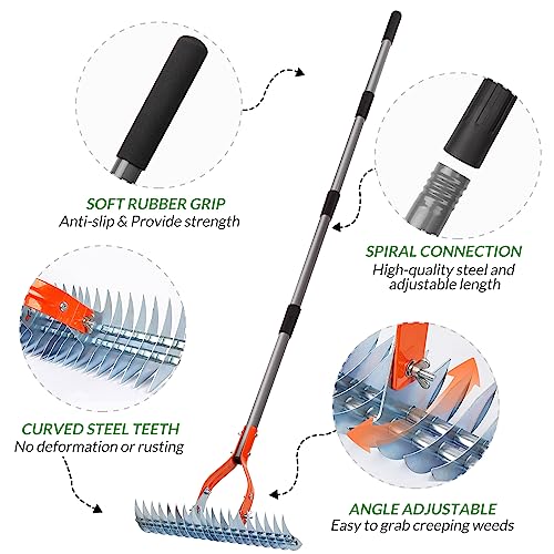 Walensee 15-Inch Thatch Rake for Lawn, 19-Tine Dethatcher, 70-Inch Handle