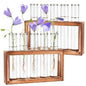 Tigvio 2pcs Desktop Glass Plant Propagation Station (10 Tubes) - size: 10 Tubes