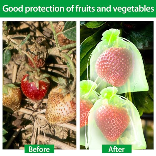 60 Pcs Fruit Protection Netting with Drawstring - Fruit & Veg Net Cover Mesh Bags (Green, 3 Sizes) - color: 60pcs-6''+8''+12''