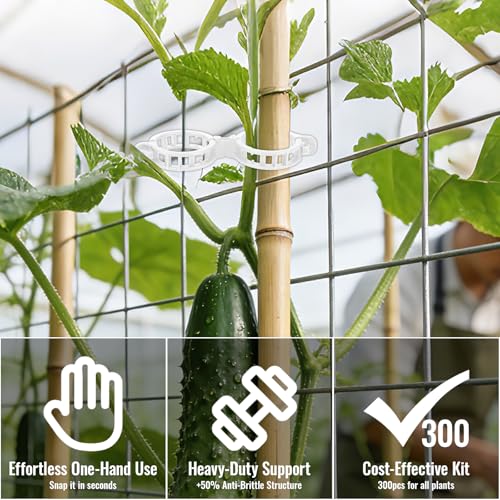 300Pcs Thickened Tomato Clips, Plant Support Clips Plastic Trellis Clips - color: White