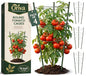 4 pcs 18" Round Tomato Cages for Garden - Metal Small Tomato Cages for Pots