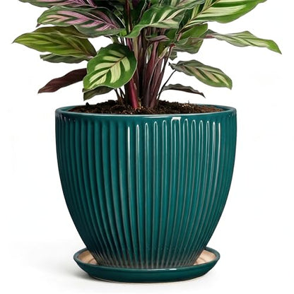 Ceramic Flower Pots, 6 Inch Planters with Saucer, Blackish Gree - color: Blackish Green, size: 6 Inch