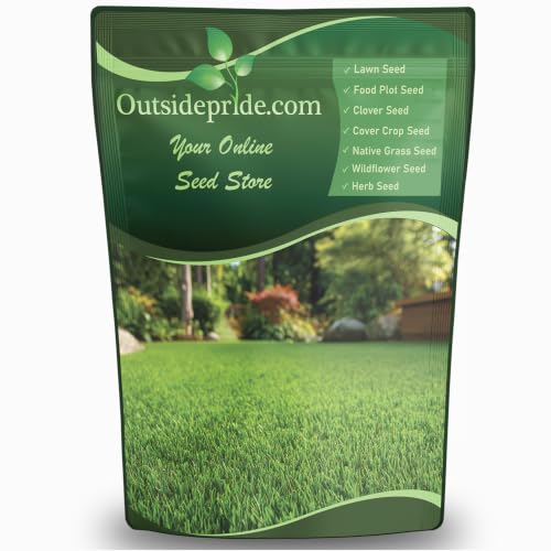 Outsidepride Oasis Bermuda Grass Seed - 25 lbs Warm Season, High Traffic, Heat Resistant, Drought-Tolerant, Low-Maintenance, Fast Growing Turf Grass for Lawn, Ideal for Sunny Areas, Thick Coverage - size: 25 lb.
