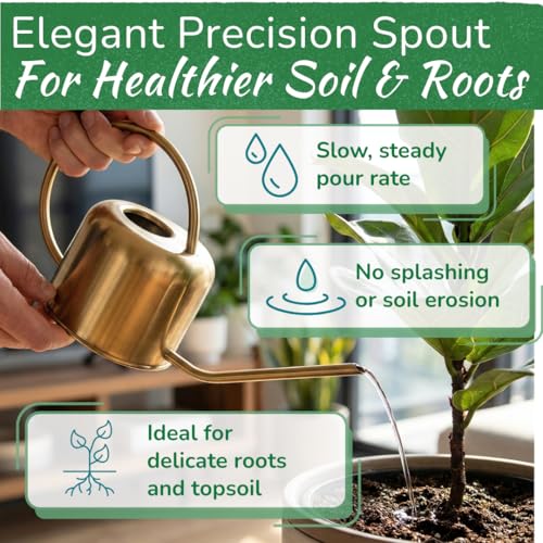 Stainless Steel Houseplant Watering Can, Brushed Silver, 1L Capacity - color: Silver