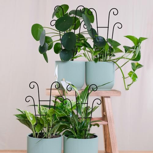 Coomin 14.5in Small Plant Trellis for Climbing Plants Indoor, 2P - size: 14.5in/4P