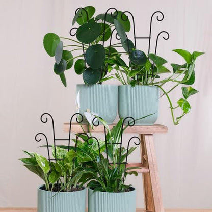 Coomin 14.5in Small Plant Trellis for Climbing Plants Indoor, 2P - size: 14.5in/4P