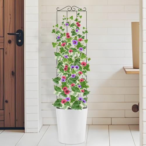 4 Pack 32'' Plant Trellis Indoor - Metal Trellis for Climbing Plants Indoor, Garden Trellis for Climbing Plants Outdoor Houseplants Flowers Vine Ivy, Rectangular Shape, Black - size: 32'' Rectangular Shape