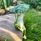 OwMell Umbrella Frog Statue for Garden, Green Frog Figurine, Outdoor Decor - style: Umbrella Frog