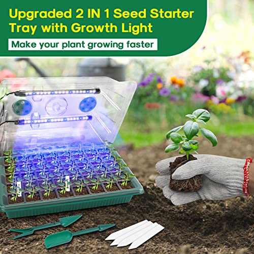 BlumWay Seed Starter Tray with Grow Light, Humidity Dome, 2 Pack 80 Cells