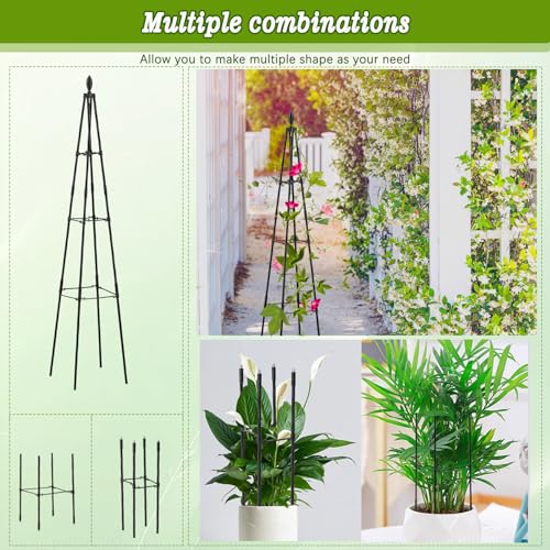 AlisisFores Garden Trellis, 63 inch Tall, 2 PCS
