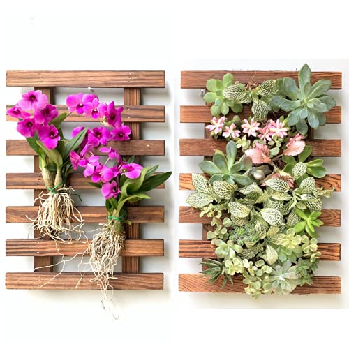 ShopLaLa Wall Planter (40cm, 2 Pack) Wooden Succulent Air Plant Wall Hanger - size: 40cm (15.7") x 2