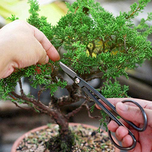 MOSFiATA Bonsai Tools Set 13Pcs, Bonsai Essentials with PU Leather Bag, High Carbon Steel Succulent Trimming Kit, for Pruning, Raking, Training Plants, Ideal Gardening Gifts - size: Bonsai Tools 13Pcs