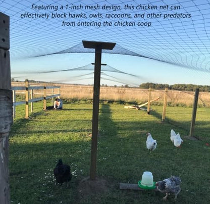 Junflying 50x50 FT Chicken Netting for Hawks & Predator Protection - size: 50x50 FT