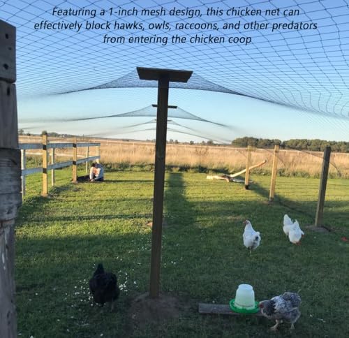 Junflying 25x50 FT Chicken Netting for Hawks & Predator Protection - size: 25x50 FT