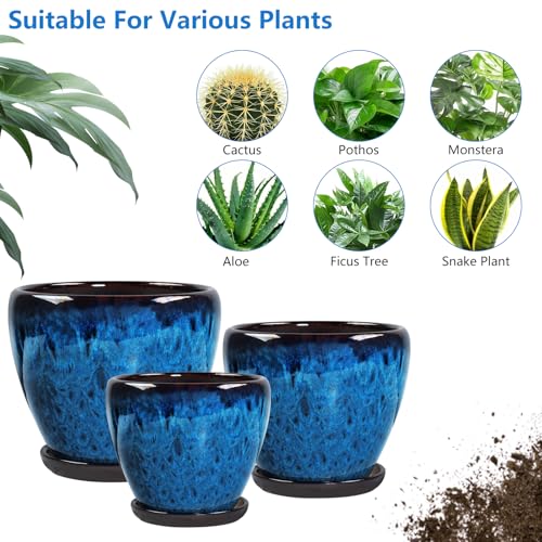 Ceramic Plant Pots With Saucer & Drainage Hole, 10 inch Indoor Flower Pots - color: Blue, size: 10 inch