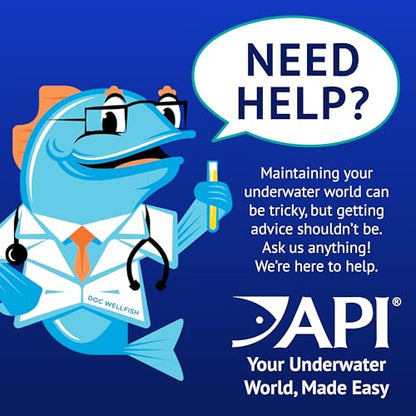 API POND ALGAEFIX Algae Control 64-Ounce Bottle (FF-169D) - size: 64-Ounce