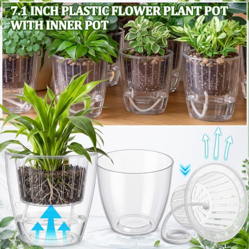 Self Watering Plant Pots, 7.1'', Transparent, 6 Pcs - color: Transparent, size: 7.1''