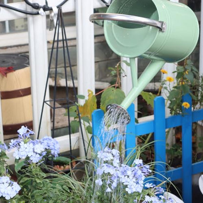Metal Watering Can 1 Gallon for Outdoor Garden Plants, CGreen - color: Cream Green