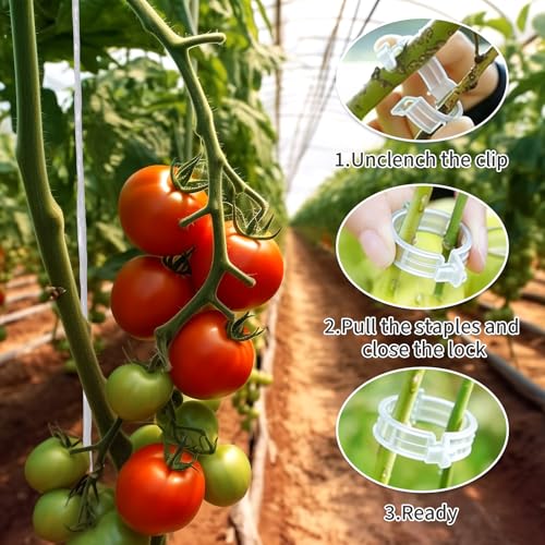 Tomato Support Hooks with Tomato Clips, Tomato Hooks with String 190pcs - size: 33.3ft-30ps