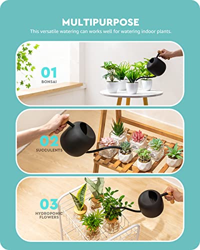Baffect Watering Can Indoor Plants with Long Spout, 1.2L / 41oz (Black) - color: Black