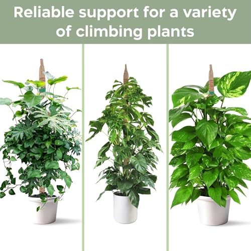 Bendable Moss Pole, 2 Pack 46'' Monstera Plant Support, Large Moss Pole for Indoor Potted Plants
