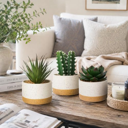 Artificial Succulent Cactus Plant Set Ceramic Flower Pot Set of 3 for Home, Office, Desk, Bedroom, Living Room Decoration