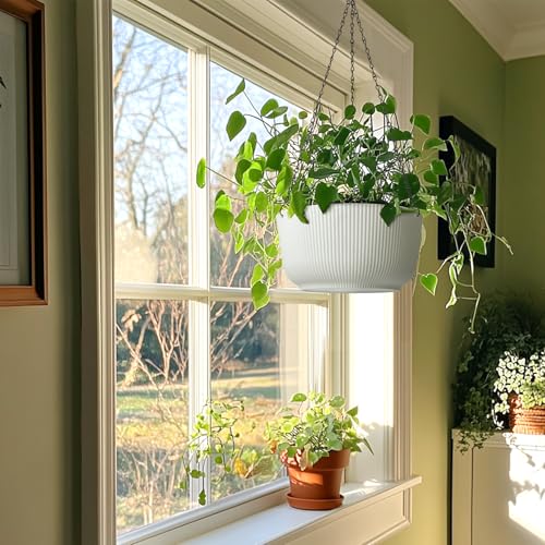 T4U Hanging Planters for Indoor Outdoor, 12 Inch Self Watering Pots, 2 Pack - size: 12 Inch