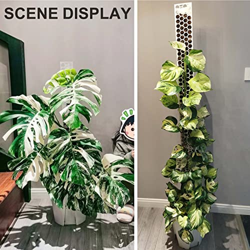 8 Pack 17 Inch Plastic Moss Pole for Monstera - color: Transparent*8pc