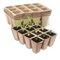 Seedling Starter Trays,Biodegradable Seed Starter Trays for Seedlings,Eco-Friendly Peat Pots(60 Cells - 5 Pack) - size: 5 Pack