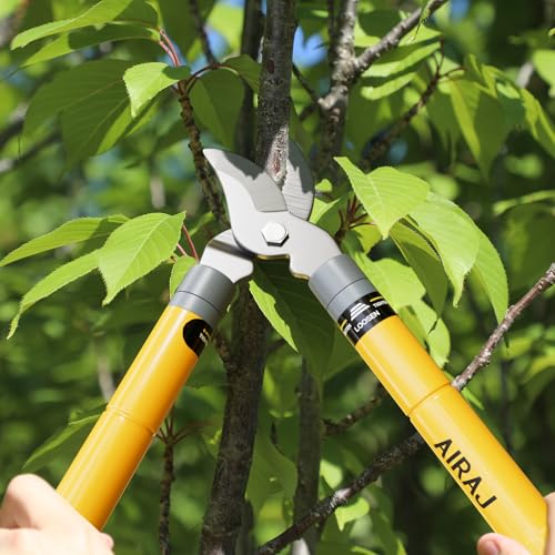 AIRAJ 16-24" Tree Loppers for Gardening, 1.5” Cut Tree Trimmer Garden Tools - size: 16-24'' Extendable Loppers