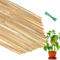 Plant Stakes 35Pcs 18 Inch,POLIUMB Premium Natural Bamboo Garden Stakes - size: 18Inches