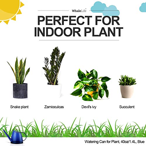 Small Indoor Plant Watering Can Long Spout 1.4L Blue - color: Blue