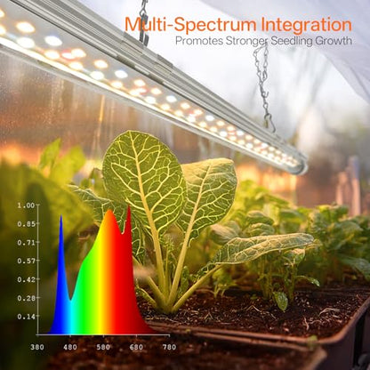 Bstrip Mini Indoor Greenhouse with Grow Light, Tabletop Seed Starting Tent