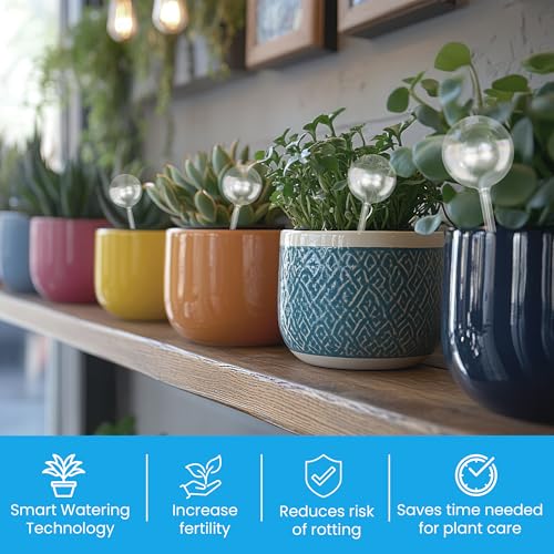 Plant Watering Globes 2 Pack – Self Watering Bulbs for Plants, 200ml Medium - color: 2pk 200ml Clear Rainbow