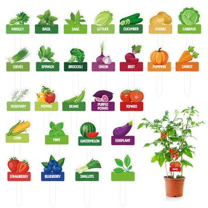 60pcs Vegetable Plant Label Signs Waterproof Fruit Plant Tag
