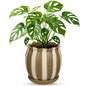 5.2 inch Stripes Ceramic Plant Pots with Drainage Hole and Tray, Brown - color: Brown