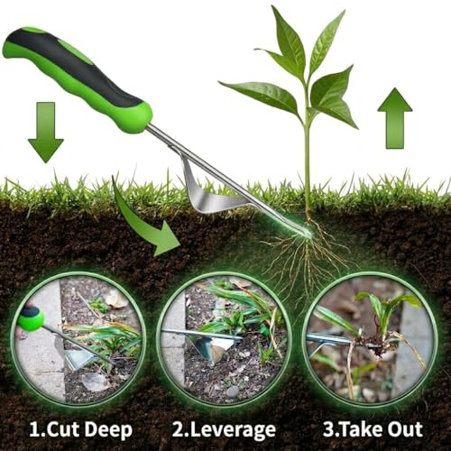 2-Piece Weeding Tool Set, Manual Weed Puller Tool, Crack Weeder Crevice Weeding Tool Stainless Steel, Paving Brick Moss Dandelion Removal, Weed Remover Tool for Garden Patio