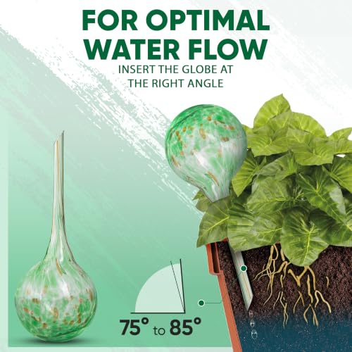 Plant Watering Globes Set of 6, Small - Glass Self Watering Globes - style: Set of 6 Small