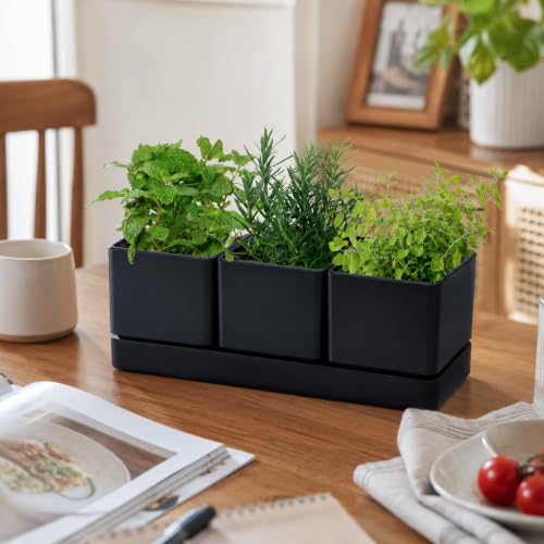 D'vine Dev 2-Pack Plastic Herb Garden Planter Set, Black, 76-V-B-2 - color: Black, size: 24"