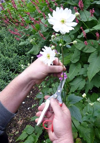 Okatsune Bud Cutting Shears No. 304 - size: 7.5 inches, style: Bud Shears