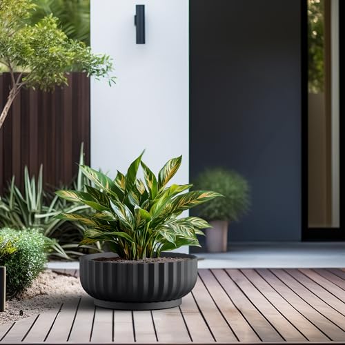 Kante Accent Round Shallow Black Concrete Planter 20.9" Dia, Outdoor - color: Black, size: 20.9"w x 8.3"h