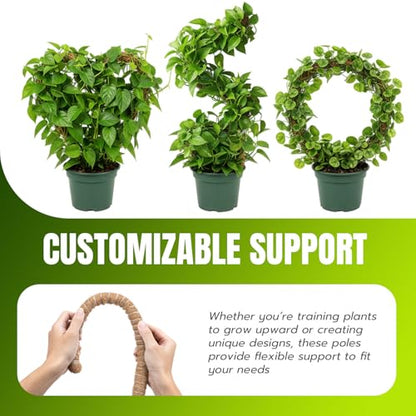 Mcbazel 2 Pack 63 Inch Bendable Moss Pole for Plants Monstera - Extra Tall 5.2ft Coco Coir Plant Support Stakes for Large Indoor Climbing Vines - Flexible Totem Stick Kit with Rope, Wire & Ties - size: 2x160CM/63inch
