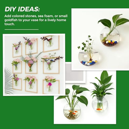 DomeStar Set of 6 Wall Vases, Wall Mounted Propagation Station - size: 6pcs