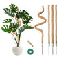 4 Pack Moss Pole 50 Inch Monstera Plant Sticks Support Tall Long Stakes - color: 50 Inch (4 Pack）