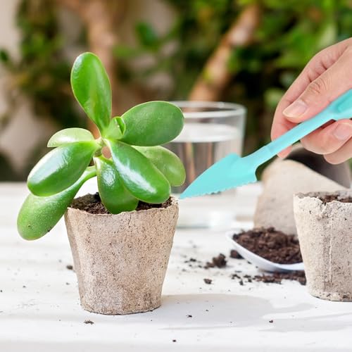 M METERXITY 3-Set Mini Gardening Tools, Plastic 2-in-1 Portable Garden Shovel Hand Tools Set Digging Scoops Kits for Plant/Seedlings/Transplanting/Succulent/Bonsai [Blue] - color: Blue