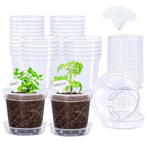 homenote 4 Inch Clear Nursery Pots 30 Pack with Saucers and Drainage Holes