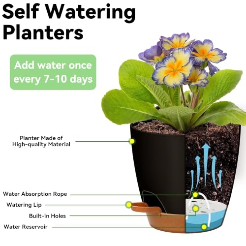 6-Pack Self Watering Pots for Indoor Plants, Black - color: Black