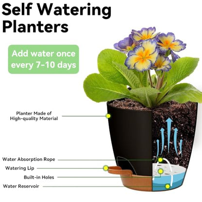 6-Pack Self Watering Pots for Indoor Plants, Black - color: Black
